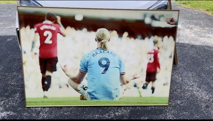 Haaland Crystal Porcelain Painting