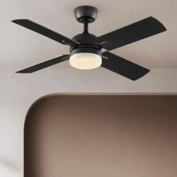 Ceiling  fan