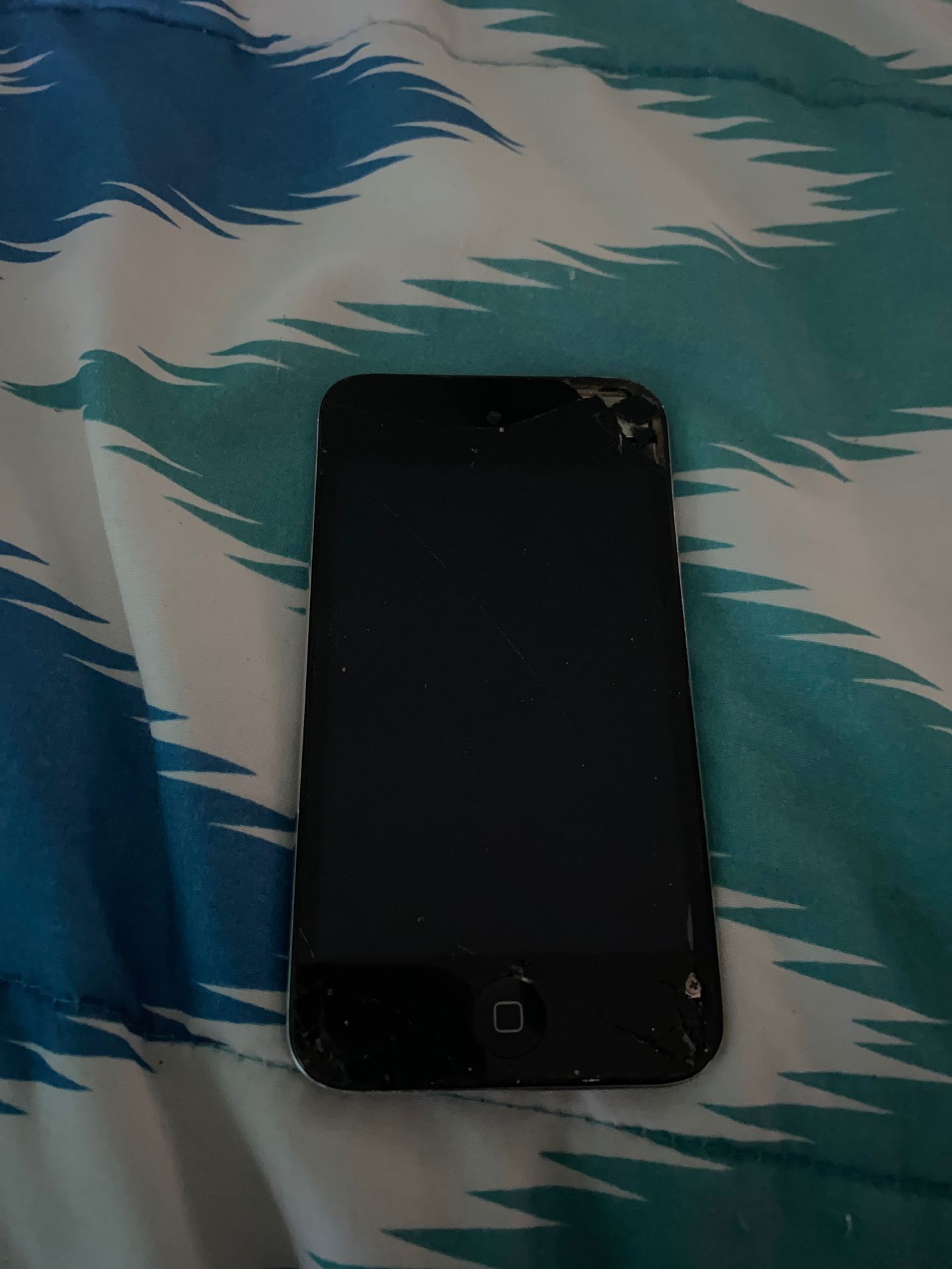 iPod touch 4th