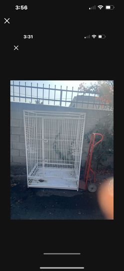 Parrot Cages