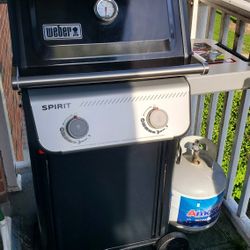 Weber Spirit 210