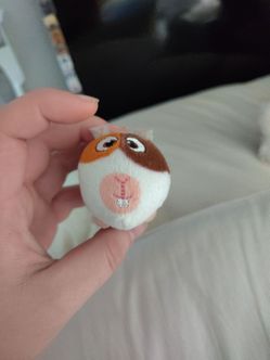 Toy from the movie pets