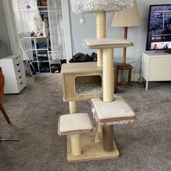 Cat House