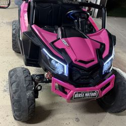 rzr 24 v