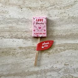 Love Flowers Planting Pop with Chamomile and Basel, New in Packaging