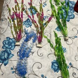 Fish Tank Decorating 