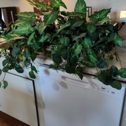 $30 - Large Beautiful Artificial Plant Or Color And Depth To Your Home Or Office