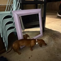 Purple Square wall Mirror