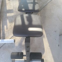 Golds Gym Bench To Workout
