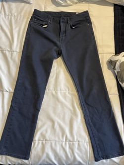 Banana Republic Traveler Pants