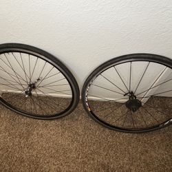 Road / Gravel Bike Race Wheelset 700c Mavic Aksium / Joytech / Shimano 9 Speed Freewheel