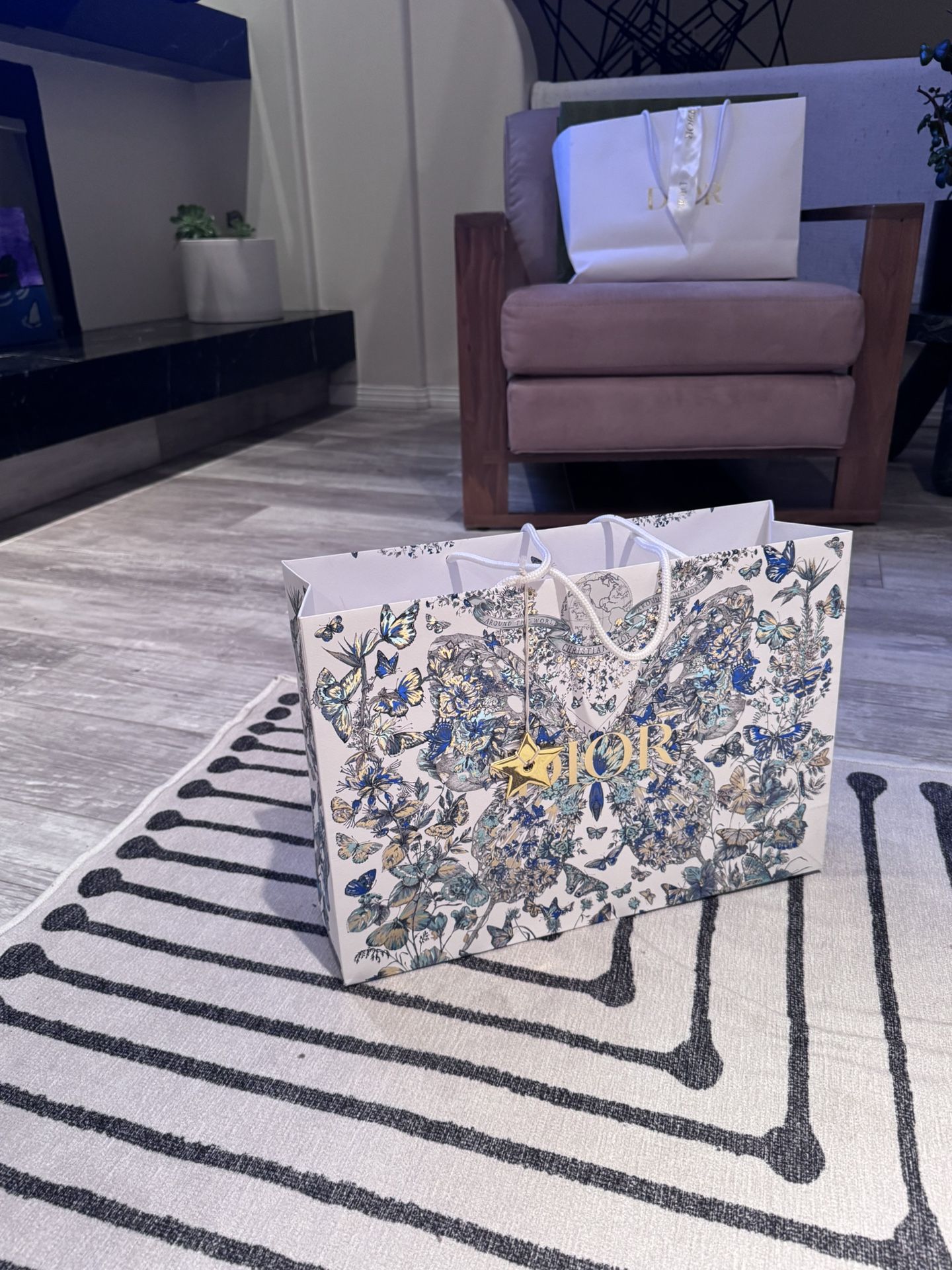 Dior Store Bag