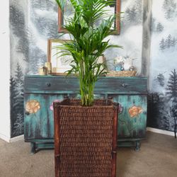 Plant Holder 