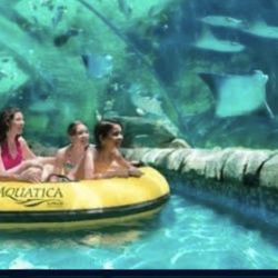 Seaworld Tickets