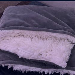 Blanket