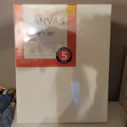 16 x 20 New Canvases