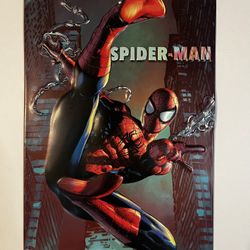 Marvel Spider-Man Wall Art