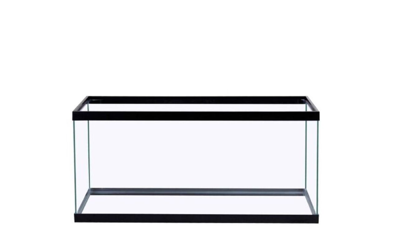 40 Gallon Fish Tank And Metal Stand