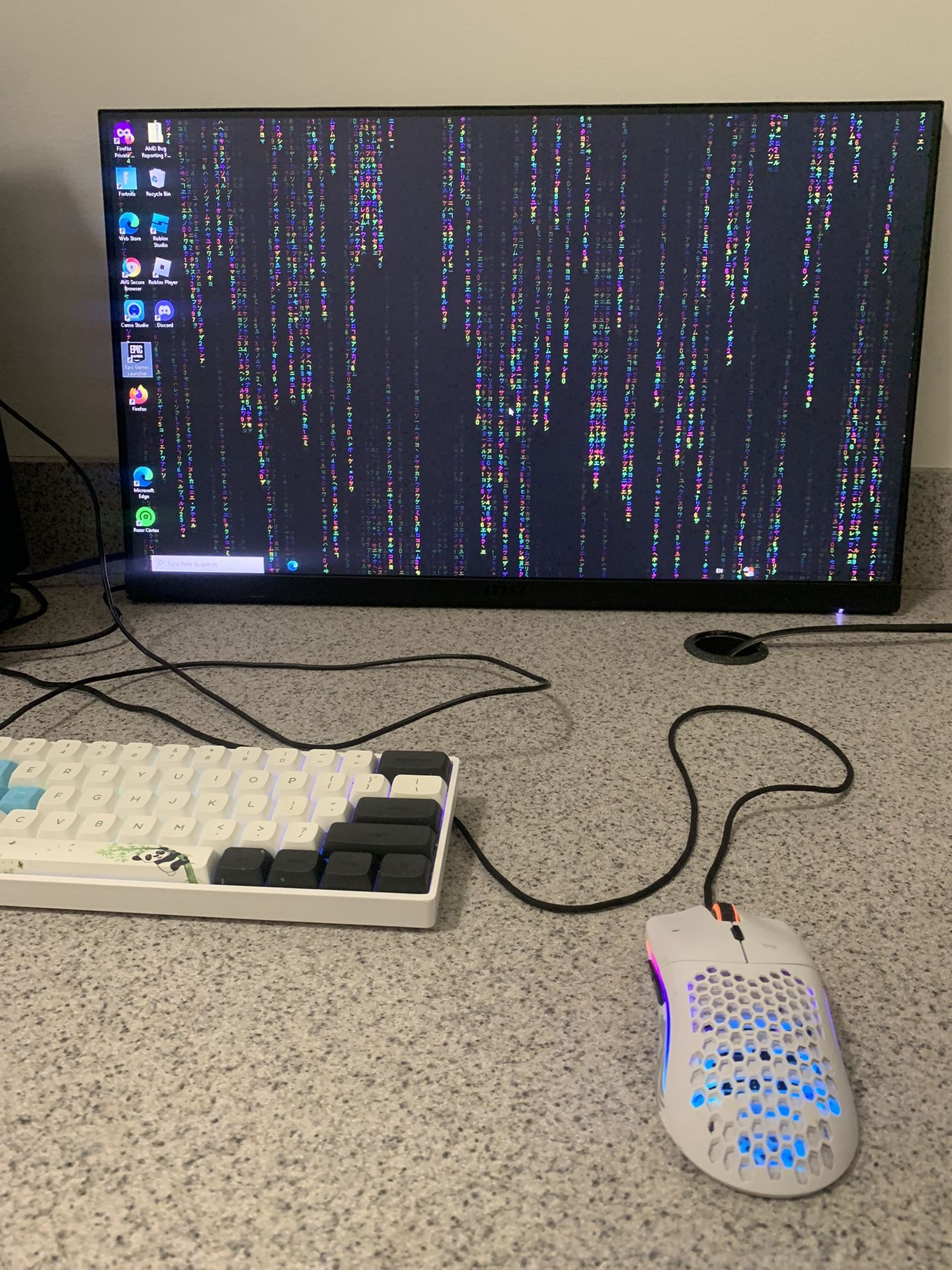 Gaming Setup