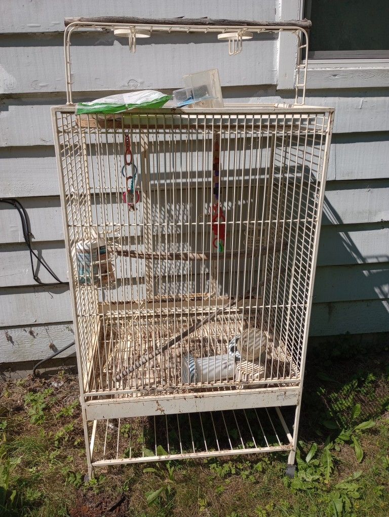 Bird cage