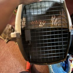 Pet Taxi -For Dog/Cats