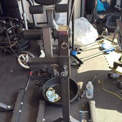 Weight Rack And Bench
