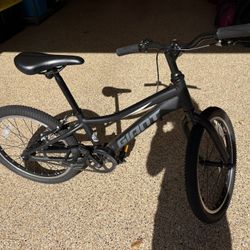 GIANT Brand Kids Bike