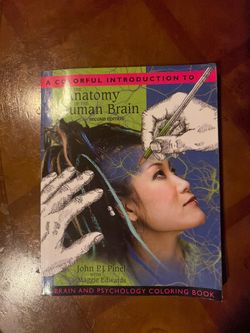 The Anatomy of Human Brain - Second Edition (USED)