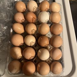 Eggs 