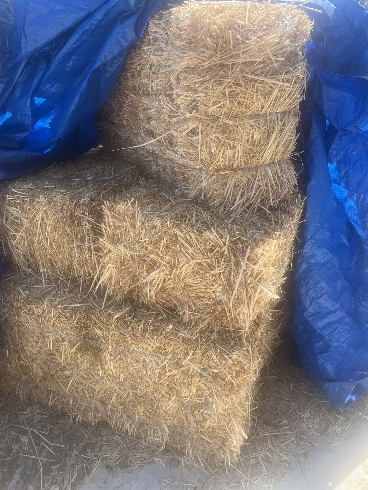 6 Hay Bails
