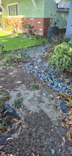 Free river rocks