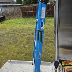 Werner 6ft ladder