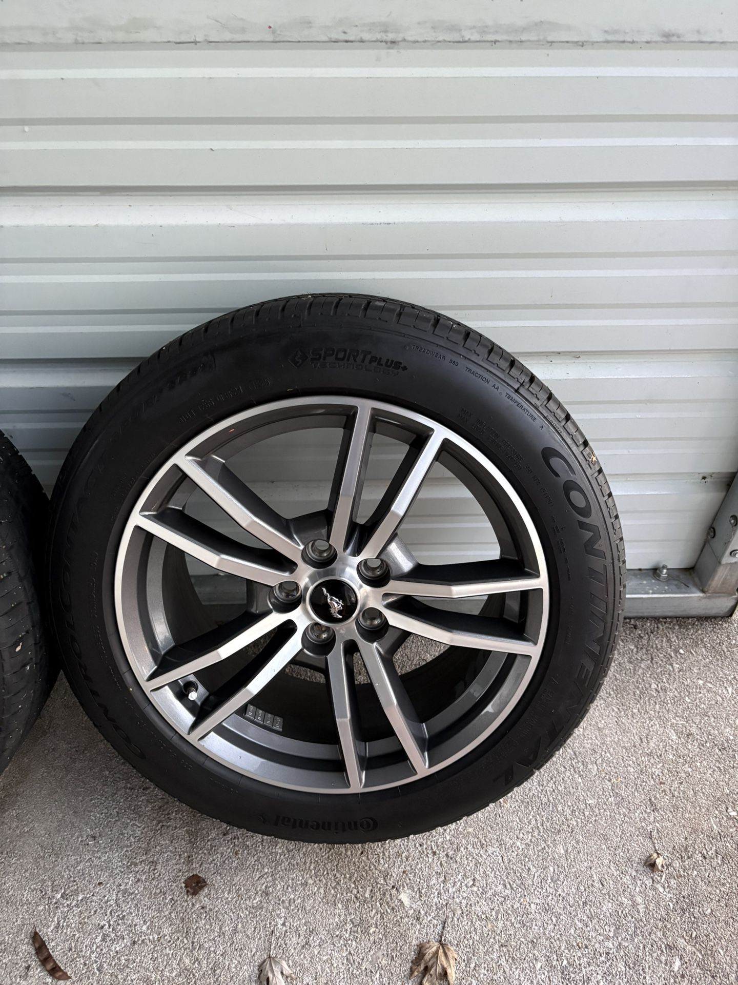 Mustang Wheels And New Tires