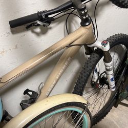 GARY FISHER mountain Bike 