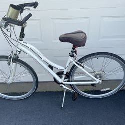 Schwinn Trailway