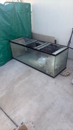 Reptile Tank