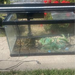 60 Gallon Fish Tank With An Led Light And Filter