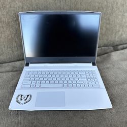 MSI Gaming Laptop (1tb SSD, 3060)