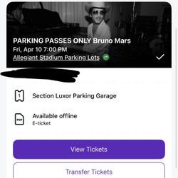 Brunos Mars Parking Lot Ticket !