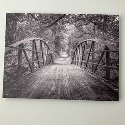 Large Canvas Picture