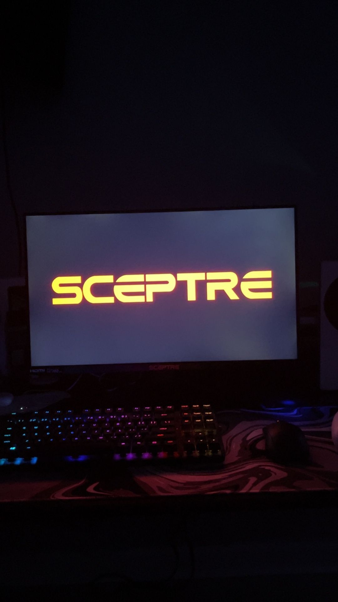 Sceptre Gaming Monitor