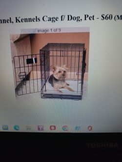 New Crate, Kennel, Kennels, Cage F/Dog, Pet