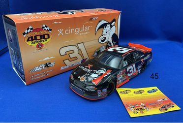 Action Racing 1:24 Robby Gordon #31 Cingular / Looney Tunes Rematch