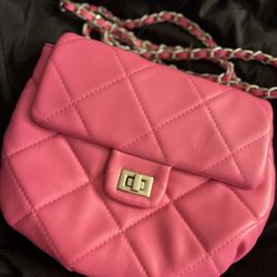 Pink Purse 