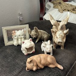 Pigs