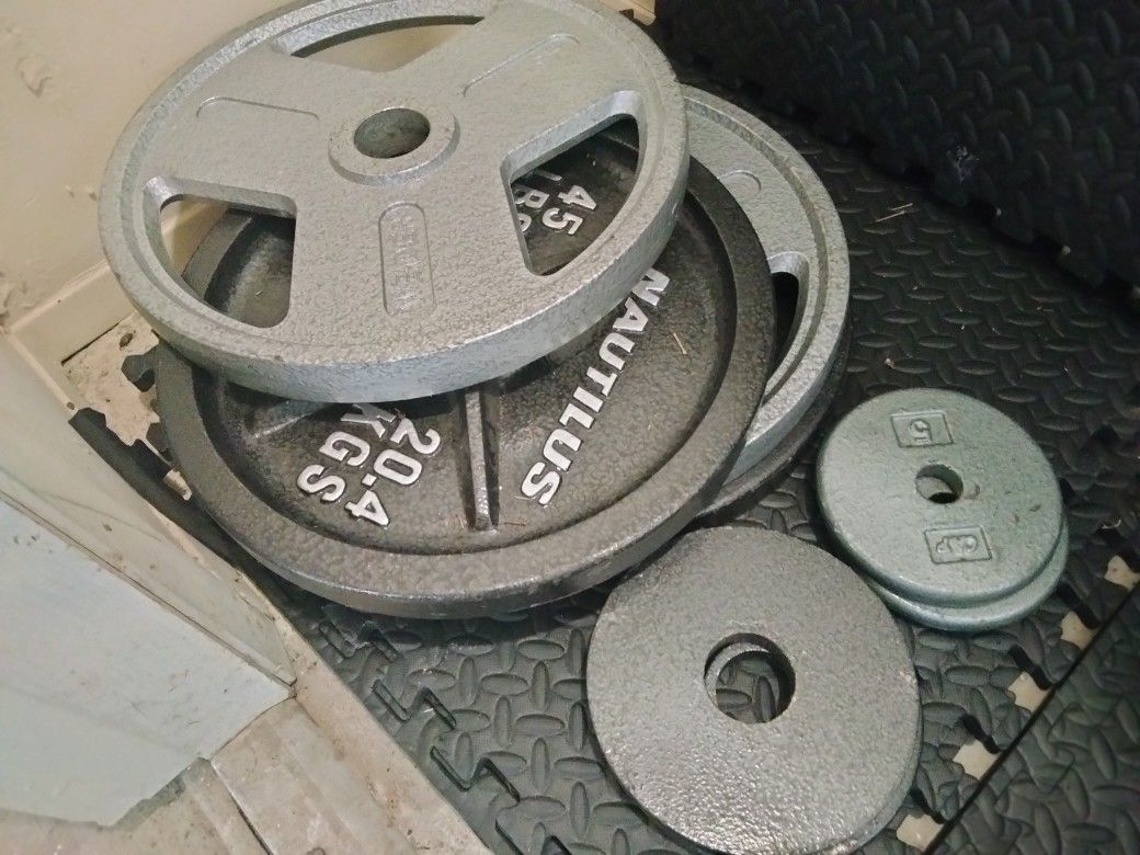 Weight Bench W. Weights