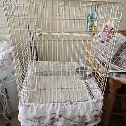 Bierd  Cage. 