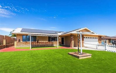 Artificial Turf