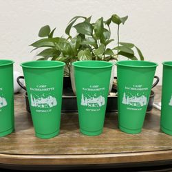 Bachelorette Reusable Tumblers, Camp Theme | 24 oz with Lids & Straws – Set of 5 (Queen Creek)