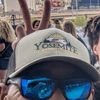 vanness